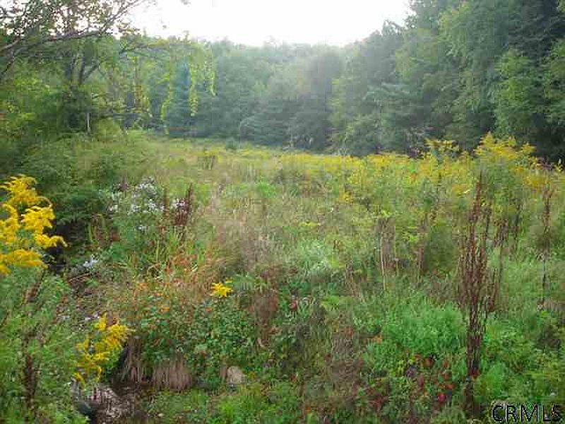 4th image of 55 WILSON HILL Road