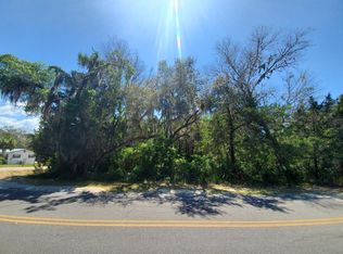 00 Highway 358, Steinhatchee, FL 32359