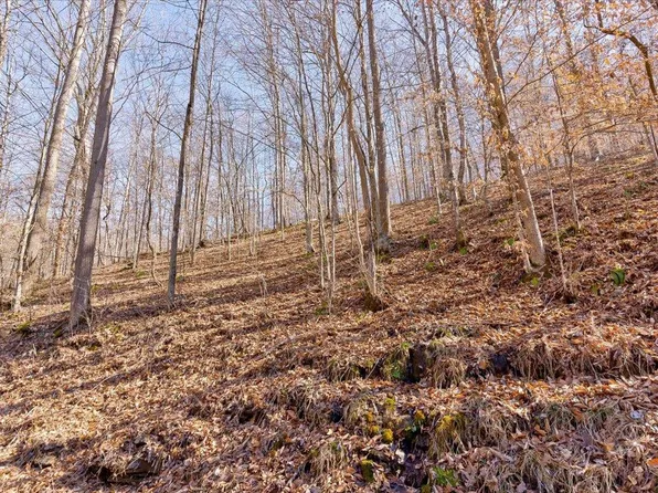 0 Poplar Grove Rd, Harrogate, TN 37752