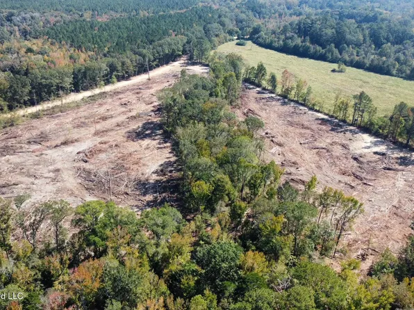 8 Evans Rd, Carthage, MS 39051