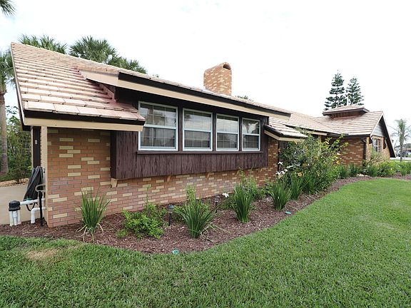 2nd image of 1 Ligustrum Cir