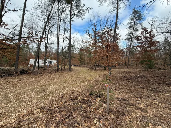 3225 W 1 1/2 Mile Rd, Baldwin, MI 49304