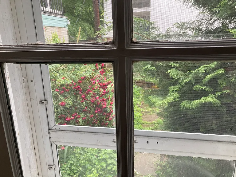Woodbine Ave — Photo 1