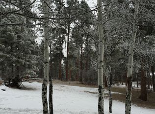 8783 Ault Ln, Morrison, CO 80465