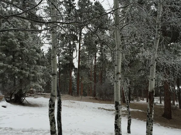 8783 Ault Ln, Morrison, CO 80465