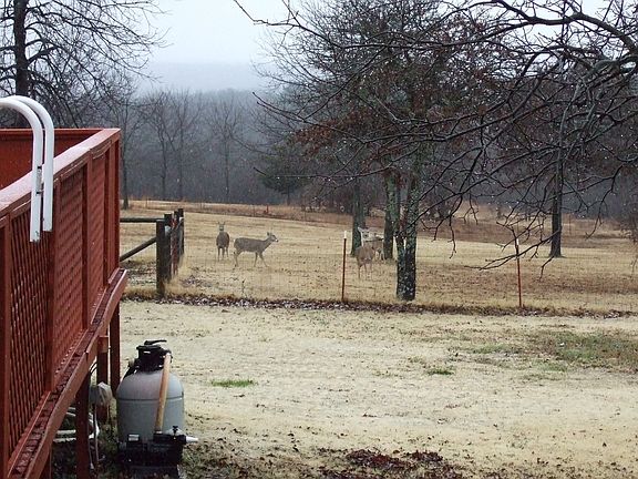 Deer and a nice view