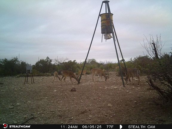 2nd image of 0 N State Hwy #349