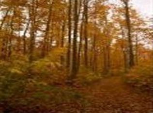 2392 Edwards Rd, Alanson, MI 49706