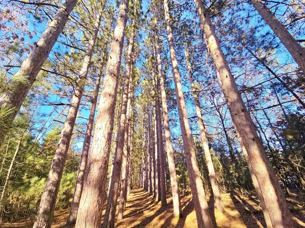 1989 8TH AVENUE, Friendship, WI 53934