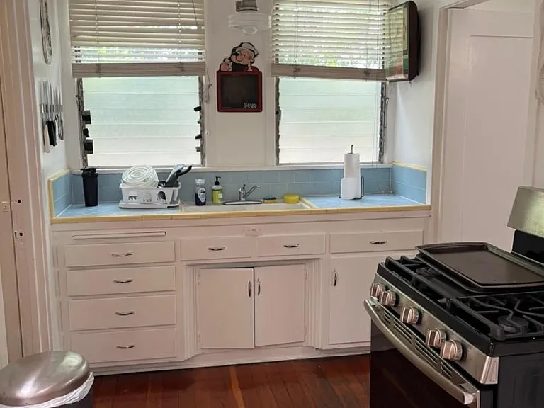 533 N Alta Vista Blvd — Photo 15
