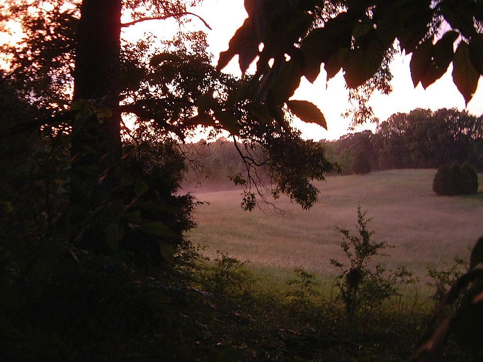 Pasture behind house