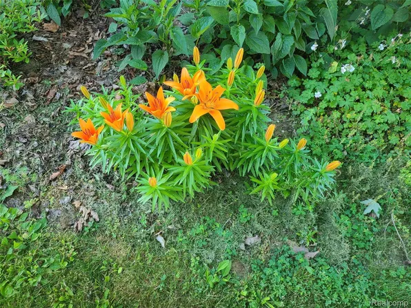 4017 Beaufait St, Detroit, MI 48207