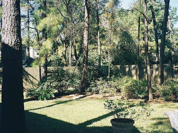 Wooded backyard, beautifully landscaped, large patio. Lg enough to add pool!