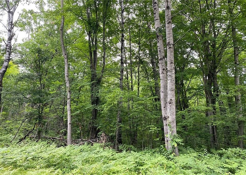 Lot 18 Tanglewood Court, Cable, WI 54821 Zillow