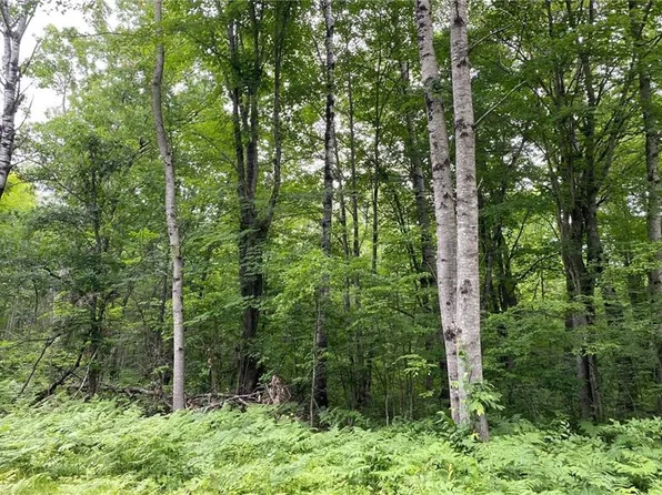 Lot 18 Tanglewood Court, Cable, WI 54821