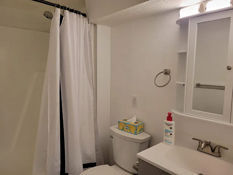 Downstaira newly remodeled bathroom 2