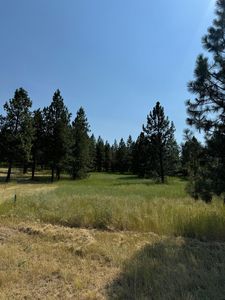 498XX Forest Dr E, Davenport, WA, 99122
