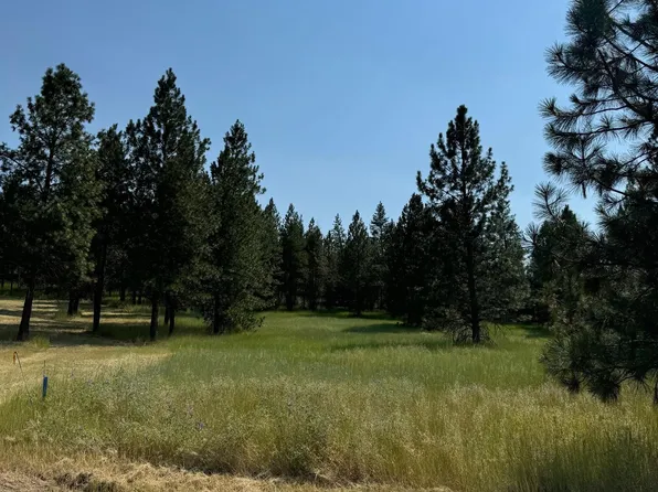 498XX Forest Dr E, Davenport, WA 99122