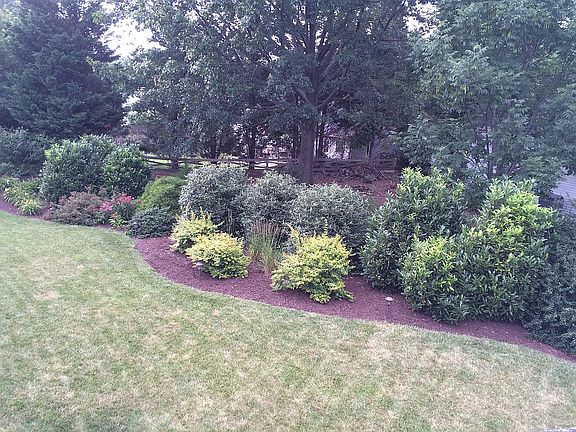 Deck View - Private Yard