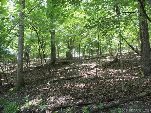 Karen Rd, Gravois Mills, MO 65037