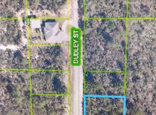 1105 Ramiro St, Lake Placid, FL 33852