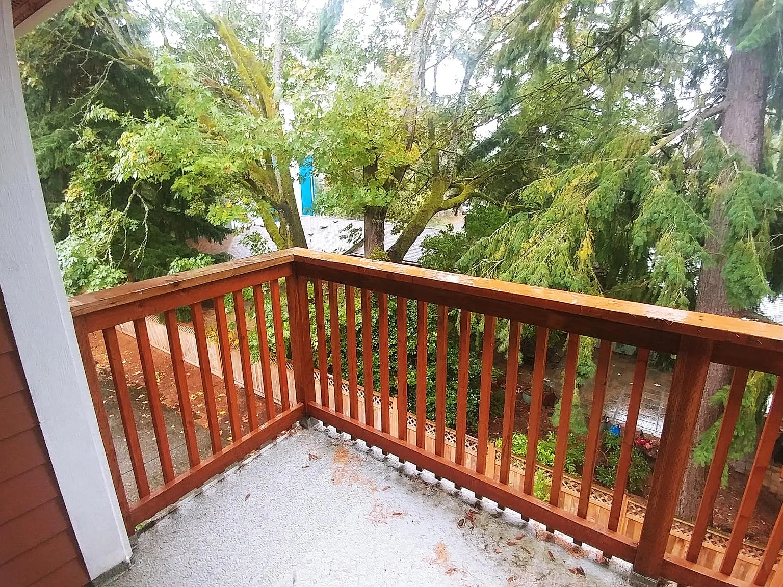 12312 40th Ave NE — Photo 4