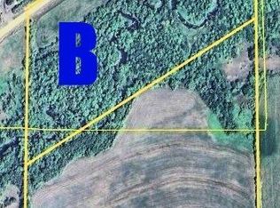 PARCEL 100th St #A, Swanville, MN 56382