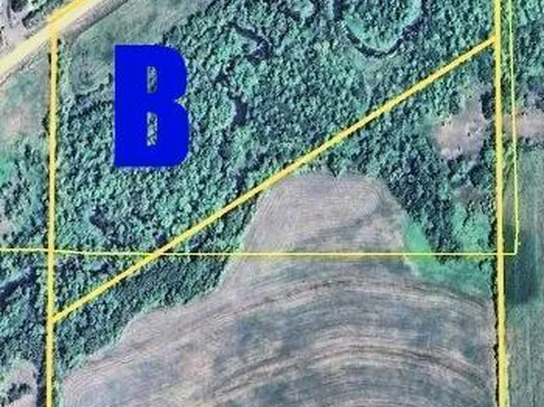 PARCEL 100th St #A, Swanville, MN 56382