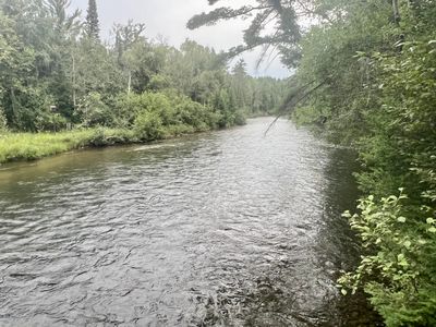 1296 Moffet Trl, Grayling, MI, 49738