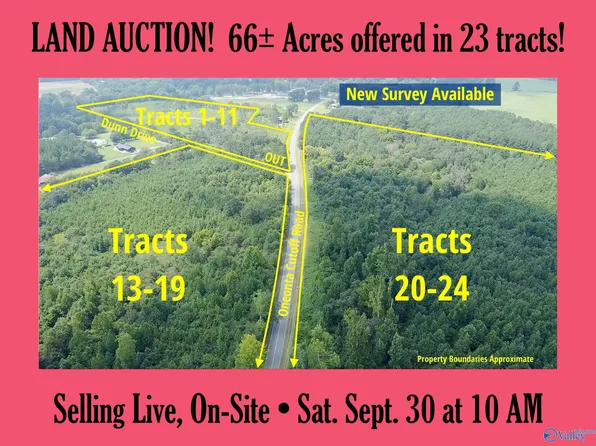 Tracts 5 6 Dunn Dr, Albertville, AL 35950