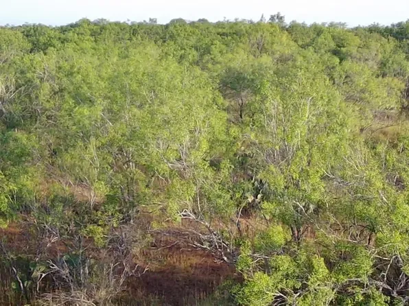 5 Old Pearsall Rd LOT 5, Jourdanton, TX 78026