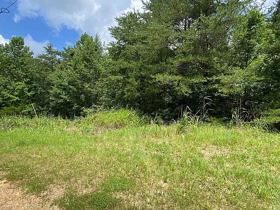 2nd image of 5 Baldeagle Dr Lot 5