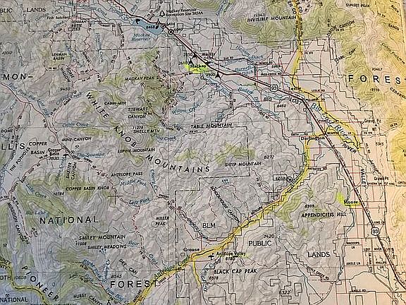 Land is highlighted yellow