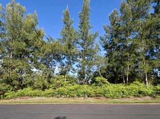 Pikake St, Mountain View, HI 96771