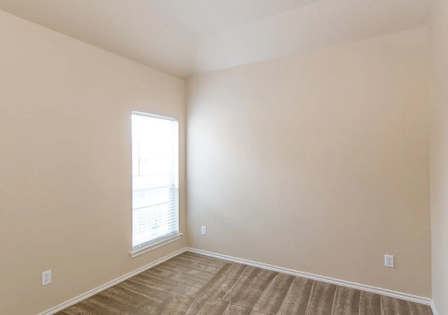 1407 Piedmont Drive — Photo 3