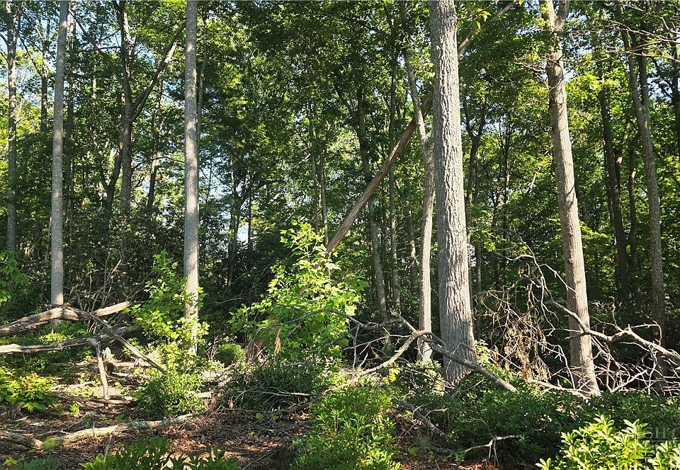 1st image of Lot 122 Pine Tree Drive