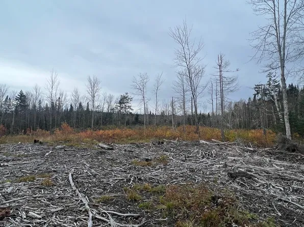 - Momenee Lane, Pittsburg, NH 03592