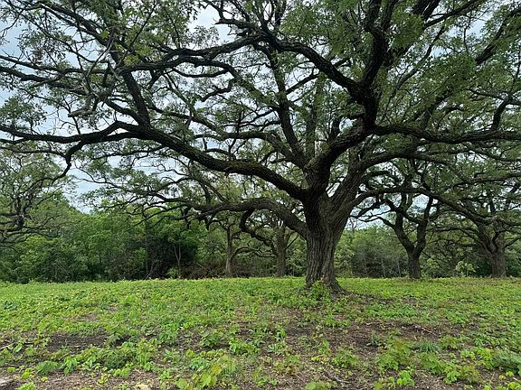 2nd image of LOT 4 Savannah Ter