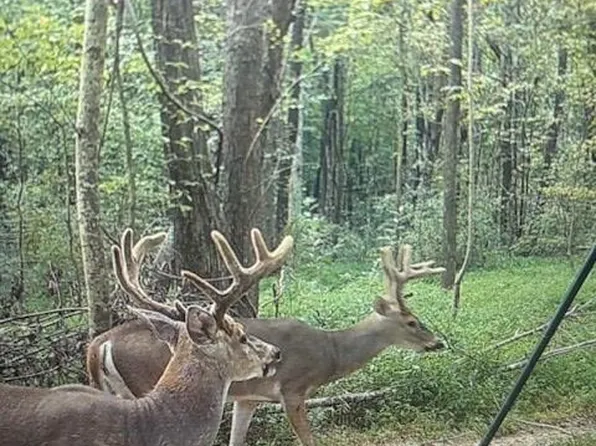 5615 State Route 176, Drakesboro, KY 42337