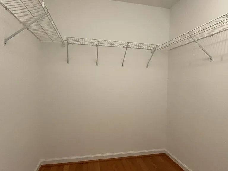 1544 Oxborough Cir — Photo 20