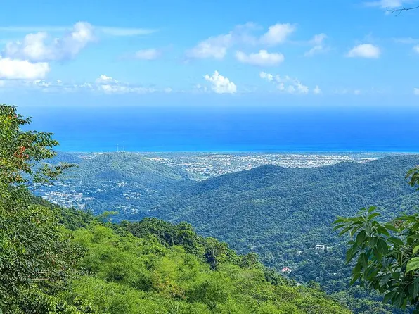 15 Km #10.8-BO, Guayama, PR 00784