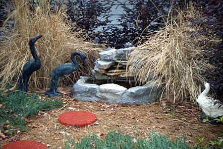 Relaxing Pond!