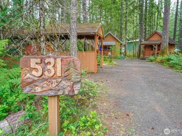 531 N Kokanee Ridge Drive, Hoodsport, WA 98548