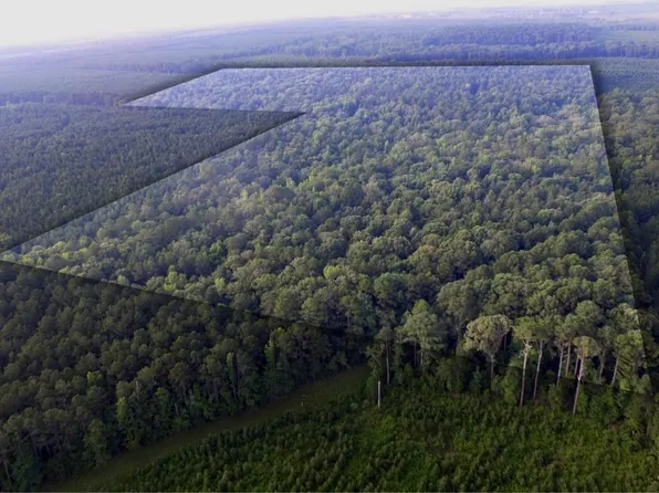 0 State Line Rd, Marion, LA 71260