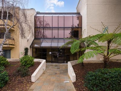 324 Catalpa St APT 218, San Mateo, CA, 94401