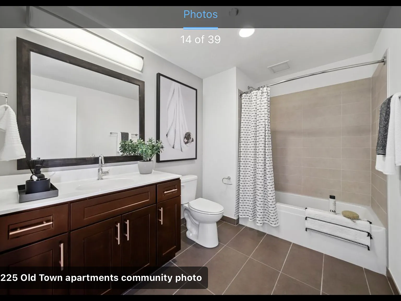 3 bed, 1800 sqft, $6,600 — Photo 4