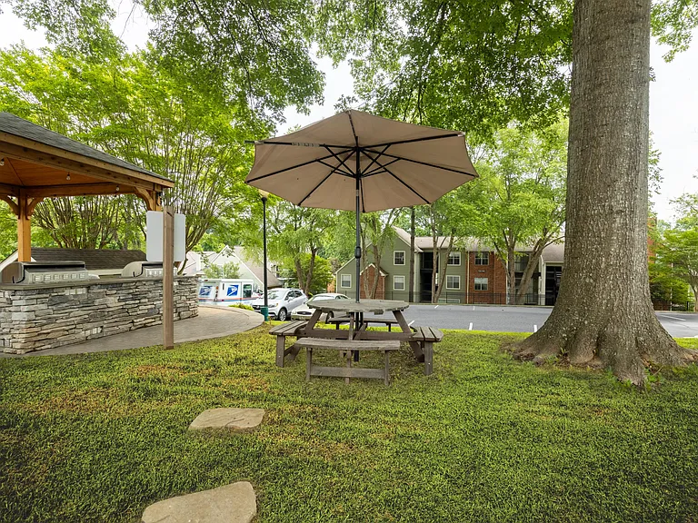 Park Forest — Photo 15