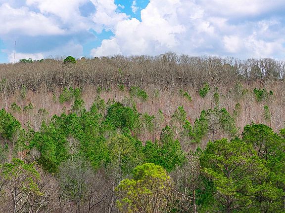 2nd image of 37.2 Acres Hwy #68