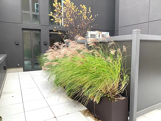 Rented by Douglas Elliman | media 1