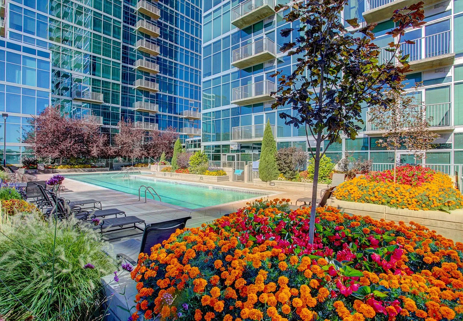 1 bed, 892 sqft, $2,500 — Photo 3